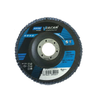 Norton Flap Disc