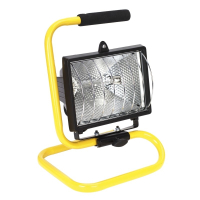 Flood Light